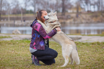 playing with dog siberian husky