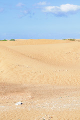 Sand Dunes on Grand Canary