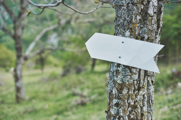 direction arrow in the forest - adds your text