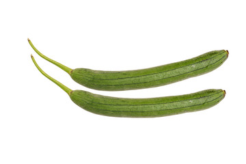 Green Zucchini isolated on white background. Japanese zucchini. Variety of marrow or summer squash, picked when small. Long and cylindrical in shape with green smooth skin and a cream flesh.