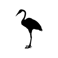 Naklejka premium Vector hand drawn white crane bird standing