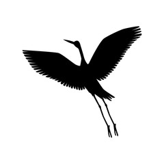 Vector hand drawn white crane bird takes off