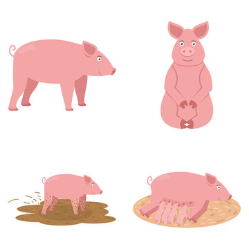 Pig icon set, cute pink pig sits, feeds its children and walks through the swamp, animal vector illustration
