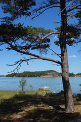 Fototapeta na wymiar Schärenküste bei Stockholm
