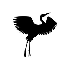 Vector hand drawn white crane bird takes off