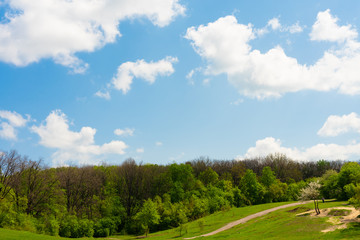 Fototapeta na wymiar Spring summer background - landscape with beautiful sky, hill, meadow and a line of trees.