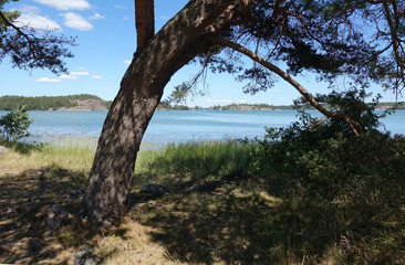 Schärenküste bei Stockholm