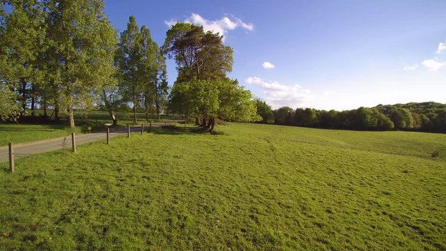 Tracking in and pan shot footage in countryside, showing a road, elevating in front of a tree and making a panoramic view of a forest.