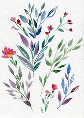 Decorative watercolor branch with leaves, buds, flowers, herbs. Botanic composition for wedding or greeting card.