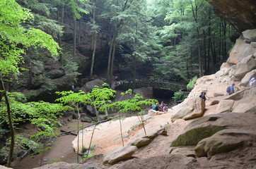 long path into the wood in a park 