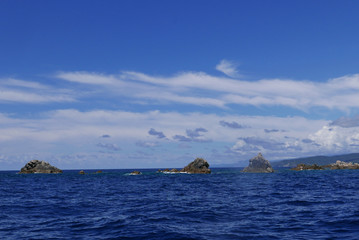 Corse
