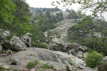 Corse