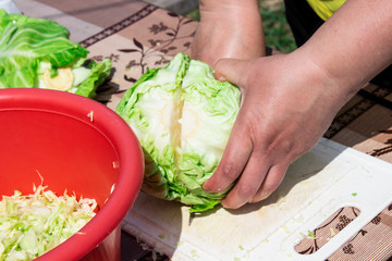 organic cabbage. Balanced antioxidant diet with cabbage. Slicing cabbage for salad. Woman cutting cabbage