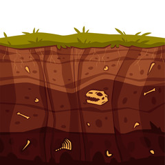Vector soil ground layers with grass surface © sabelskaya