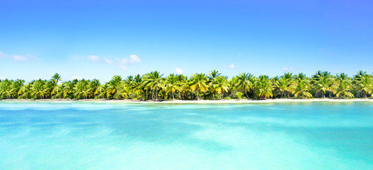 Amazing sandy beach with coconut palm trees and blue sky. Caribbean Sea coast