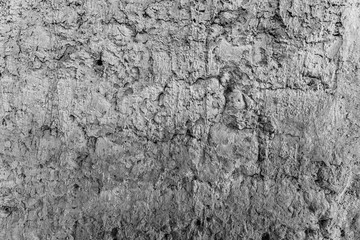 Fototapeta premium wall colored textures