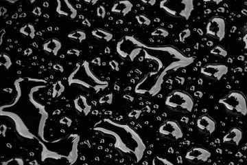 Water Table