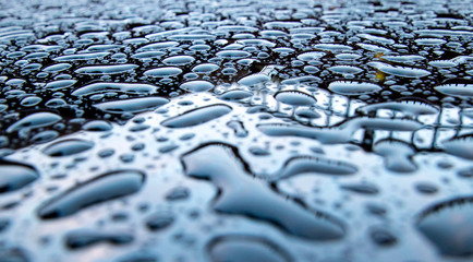 Water Table