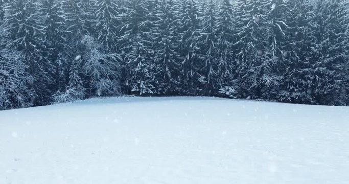 Cold morning countryside field with forest trees in background during snowfall. 