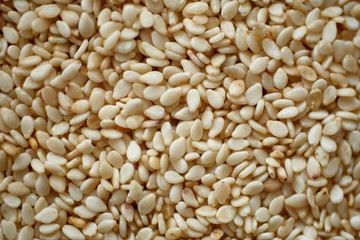 Sesame Seeds. Close up