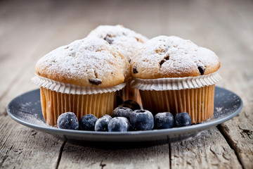 Fresh muffins with sugar powder and blueberries on ceramic plate on rustic wooden table