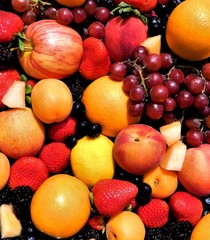 Close up of vibrant multi-colored fruit bowl in the sunshine       