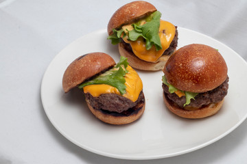 Hamburgers lined on Plate
