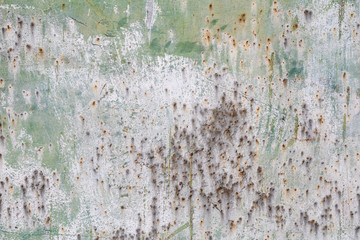 Rusty grunge metal texture