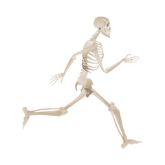 Side view of white skeleton running