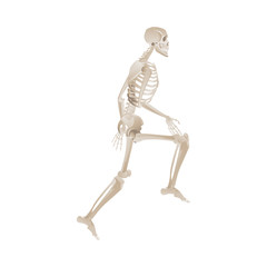 White skeleton running motion