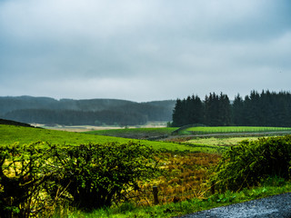 Obraz premium Scotland - Scottish meadow in the Lowlands with very green scenery and big overcast skies.