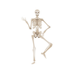 Cheerful skeleton dancing pose for Halloween or other party horror design vector.