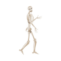 Vector flat funny human skeleton dancing icon