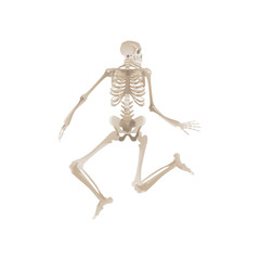 Vector flat funny human skeleton dancing icon