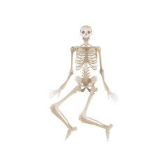 Vector flat funny human skeleton dancing icon
