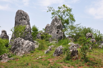 The Stone Forest Park. Shilin, China.