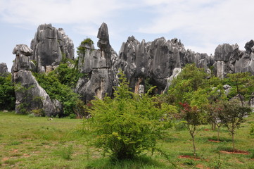 The Stone Forest Park. Shilin, China.