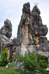 The Stone Forest Park. Shilin, China.