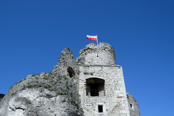 Ruins of Ogrodzieniec castle, 