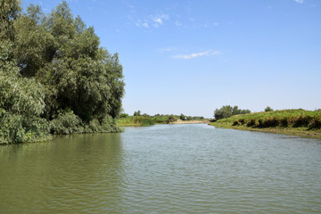 Obraz premium Landscape of Danube Delta. Danube distributary channel. Romania.