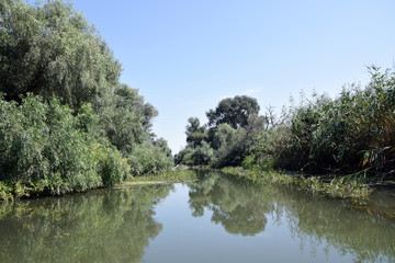 Landscape of Danube Delta. Danube distributary channel. Romania.
