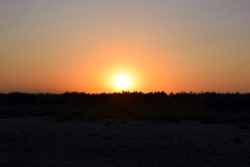 Sunset over the scrub and sand beach. Golden hour sunset. Danube biosphere reserve - Danube delta, Romania.