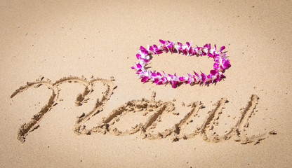 Orchid Lei on a Maui beach with soft surf