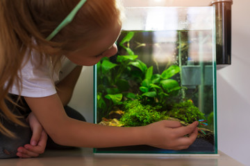 Cute little girl looking at fish in nano aquarium