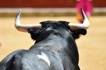 toro español
