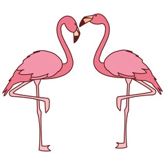 exotic pink flemish couple birds with romantic pose - obrazy, fototapety, plakaty