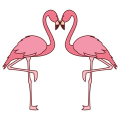 exotic pink flemish couple birds with romantic pose