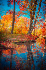 Beautiful Autumn Scenery in Park in Munich, Germany - 266832259