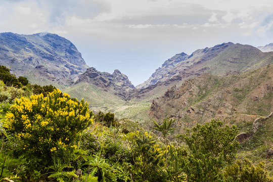 Mountain viewpoint on the road to Tamaimo