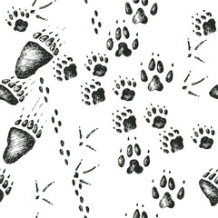 Vector hand drawn seamless pattern with walking wild wood animal and bird tracks